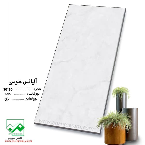 سرامیک آلیانس طوسی 60*30 کاشی مریم