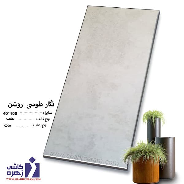 سرامیک نگار طوسی روشن 100*40 کاشی زهره