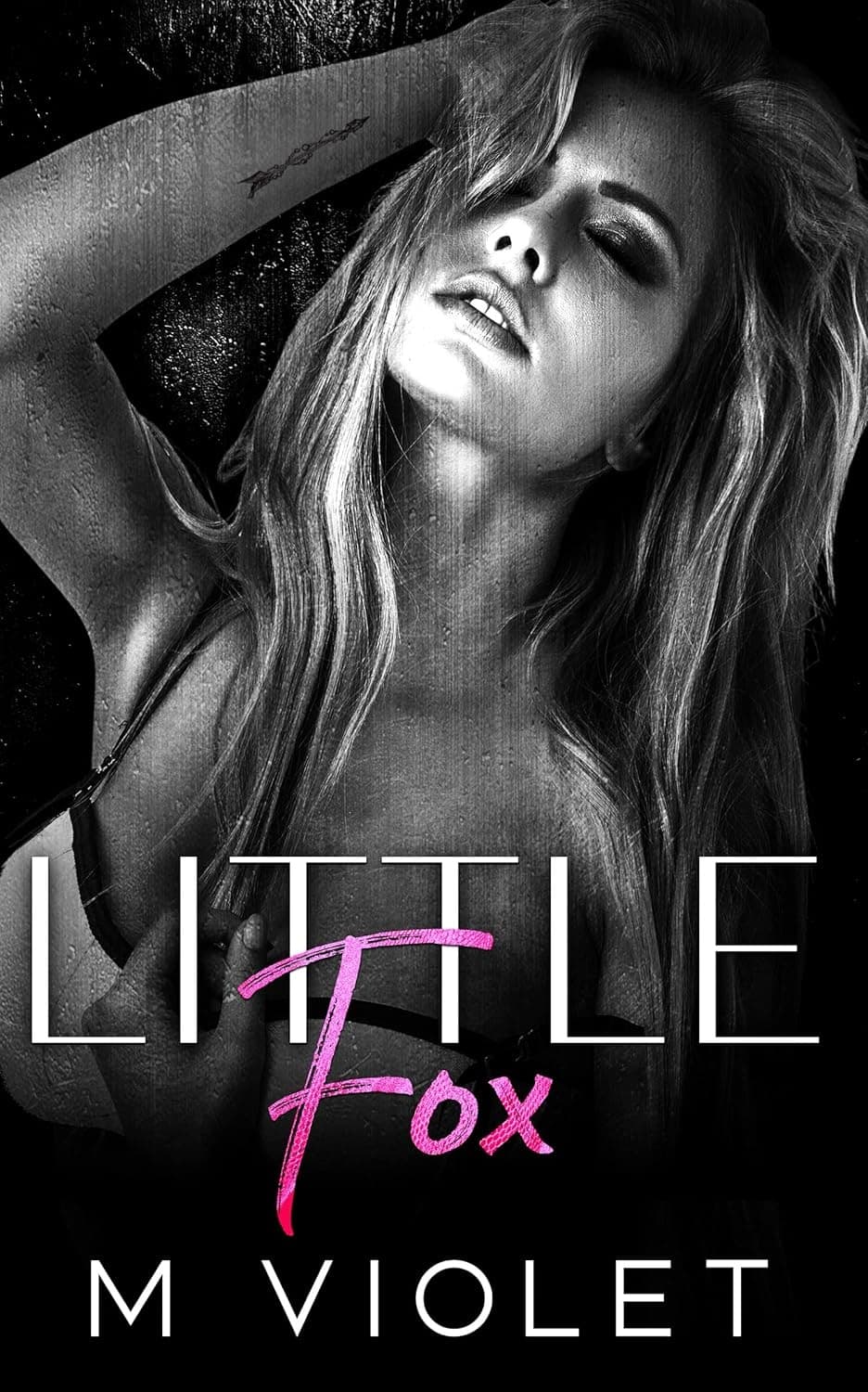 Little Fox (Wickford Hollow Duet Book 2) روباه کوچولو (متن کامل بدون حذفیات)
