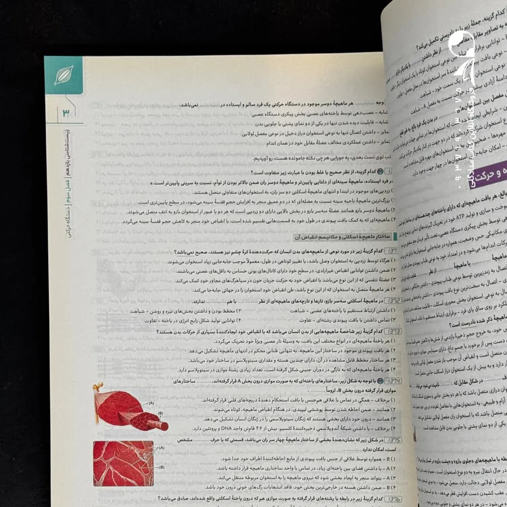 پاسخنامه زیست شناسی جامع کنکور میکرو گاج جلد دوم — تصویر ۴
