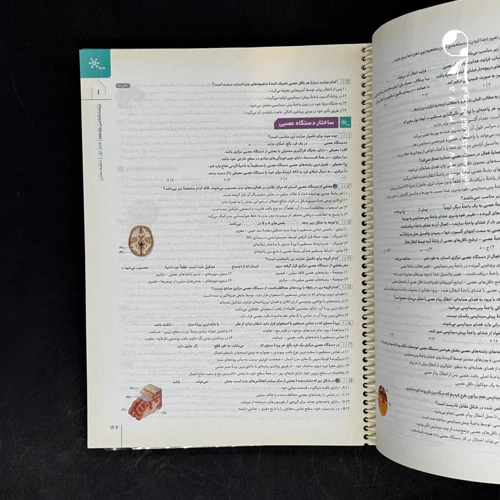 پاسخنامه زیست شناسی جامع کنکور میکرو گاج جلد دوم — تصویر ۳
