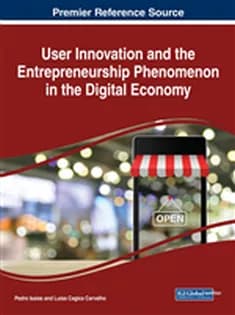 دانلود کتاب User Innovation and the Entrepreneurship Phenomenon in the Digital Economy — تصویر ۲