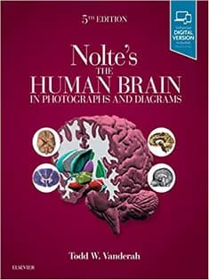 دانلود کتاب The Human Brain in Photographs and Diagrams