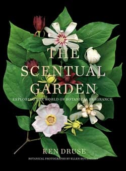 دانلود کتاب باغ معطر The Scentual Garden: Exploring the World of Botanical Fragrance 2019