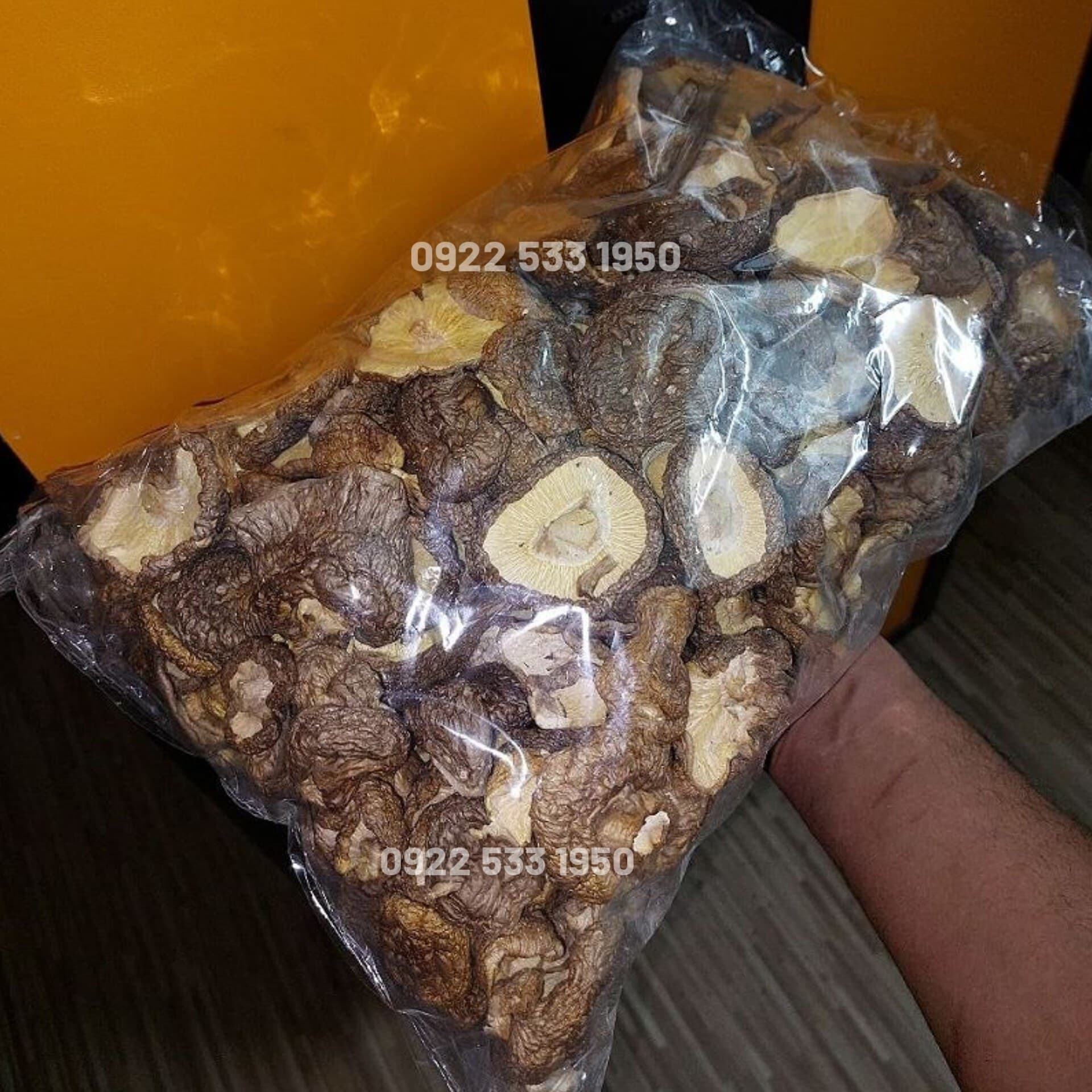 قارچ شیتاکه عمده