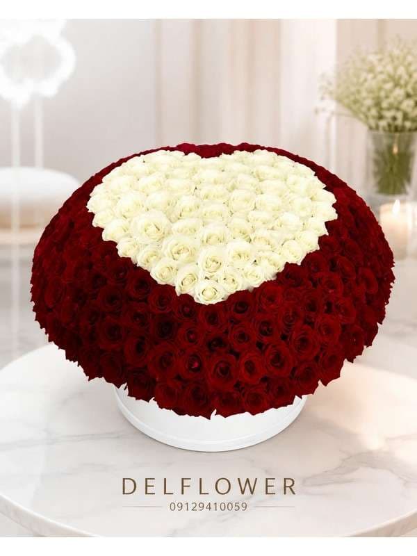 گل برای شروع 2FC580