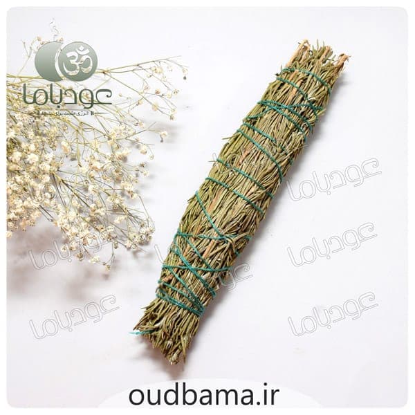 اسماج گیاهی رزماری ROSEMARY