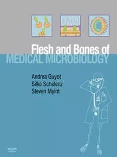 دانلود کتاب The Flesh and Bones of Medical Microbiology