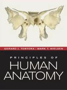 دانلود کتاب Principles of Human Anatomy