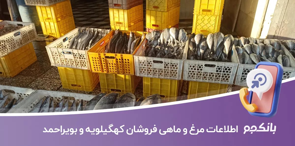 اطلاعات مرغ و ماهی فروشان استان کهگیلویه و بویراحمد — تصویر ۲