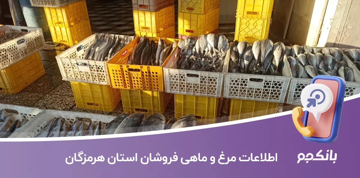 اطلاعات مرغ و ماهی فروشان استان هرمزگان — تصویر ۲