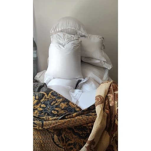 برنج طارم بوجاری — تصویر ۲