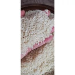 برنج طارم شمال — تصویر ۳
