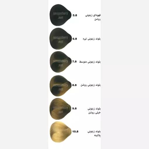 رنگ مو اسکلاره سری زیتونی — تصویر ۲