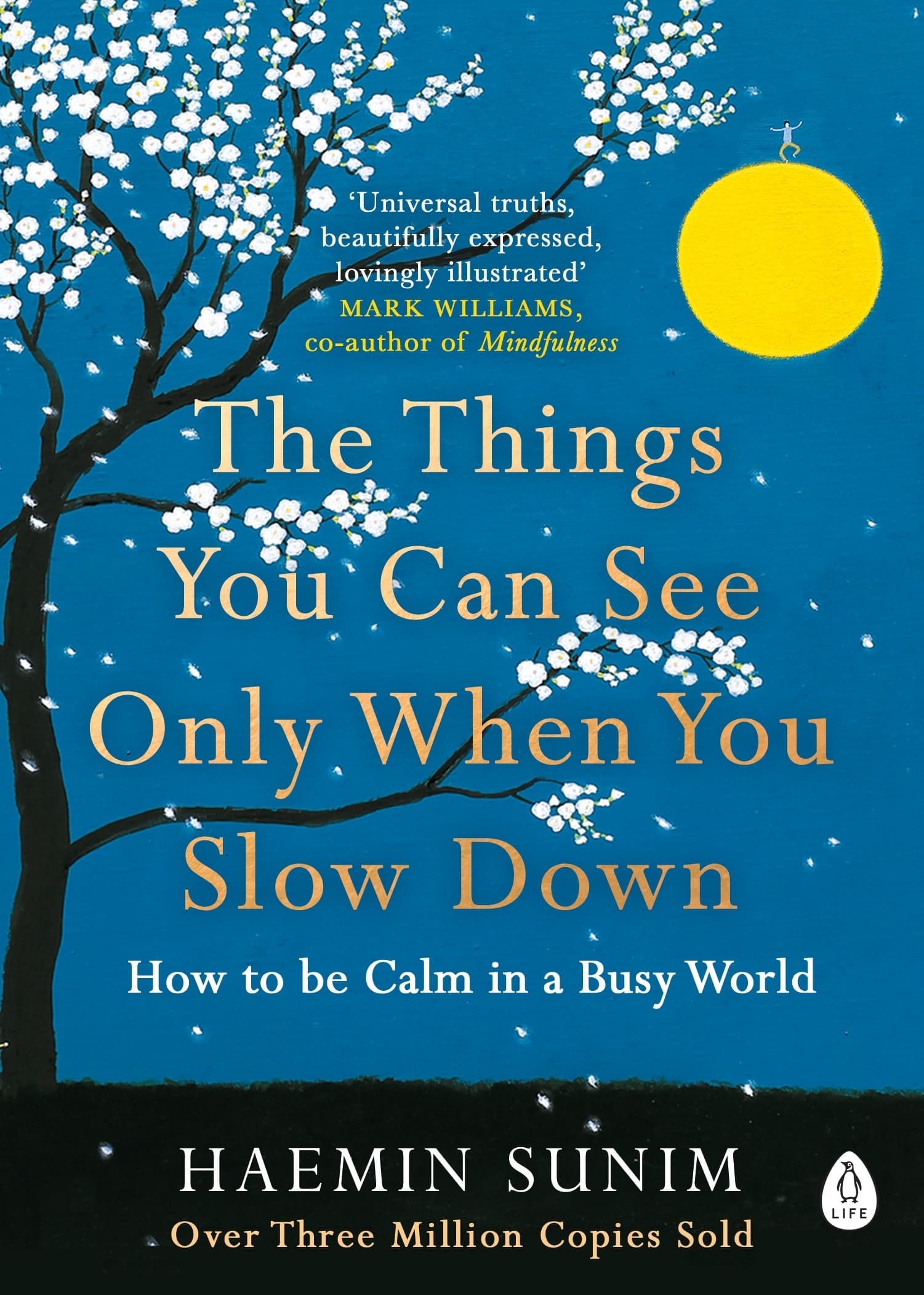 کتاب چیزهایی که فقط وقتی آرام می‌شوید می‌توانید ببینید (The Things You Can See Only When You Slow Down) نسخه PDF | نویسنده :همین سونیم