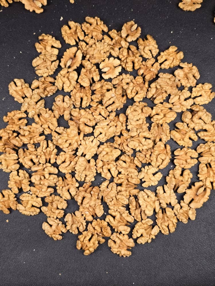 مغز گردو ایرانی (500 گرمی)1404