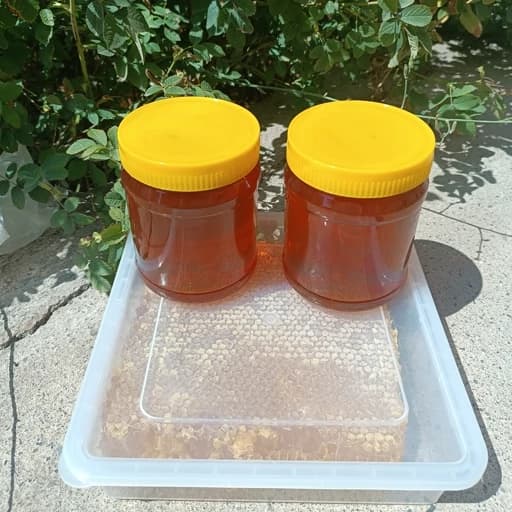 عسل طبیعی پک خانواده دو کیلو شهد چهل گیاه و یک کیلو موم دار سبلان