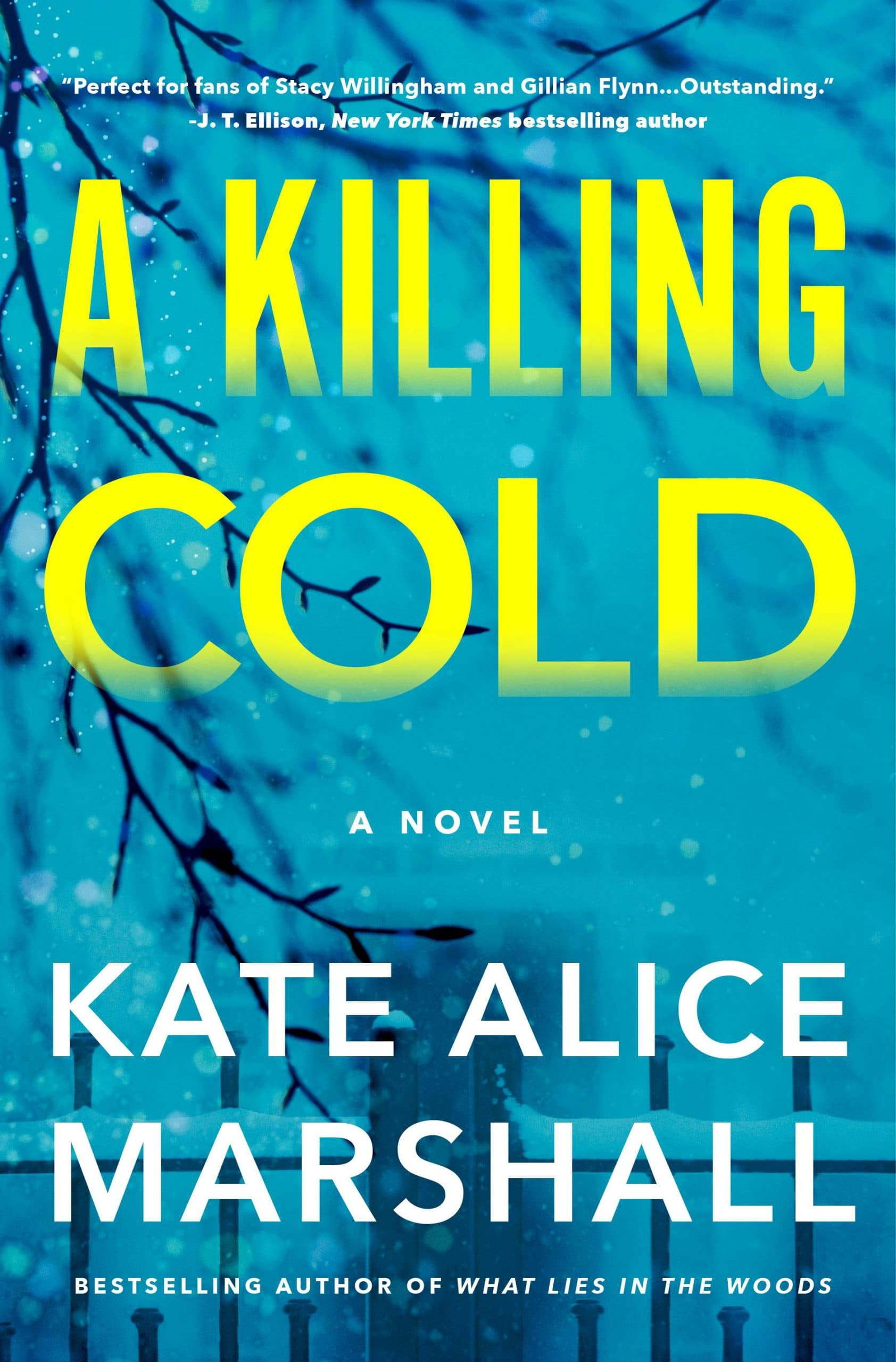 کتاب A Killing Cold (قتل در سرمای مرگبار) نسخه انگلیسی PDF | کیت آلیس مارشال