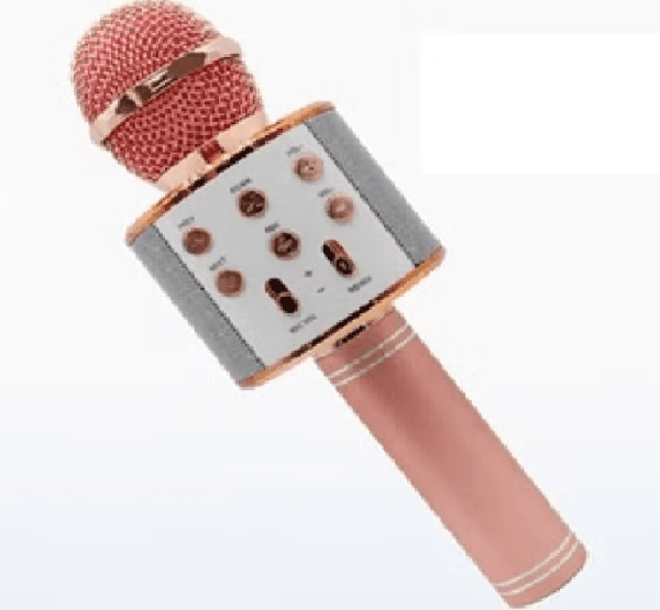 اسپیکر میکروفون دار WS858