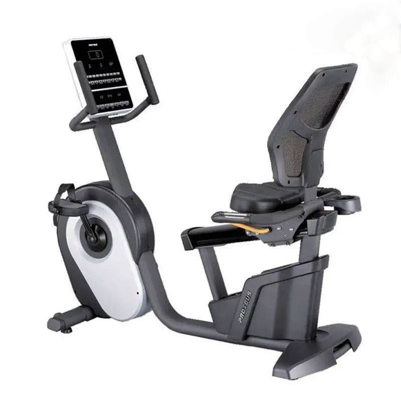 دوچرخه ثابت مبله پروتئوس مدل Proteus ProMaster R12