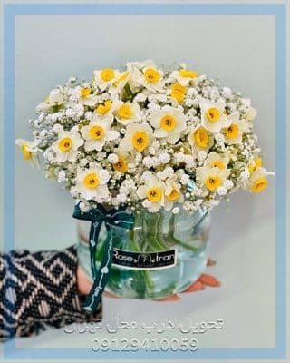 ارسال گل طبیعی برای دانشگاه پیام نور تهران غرب