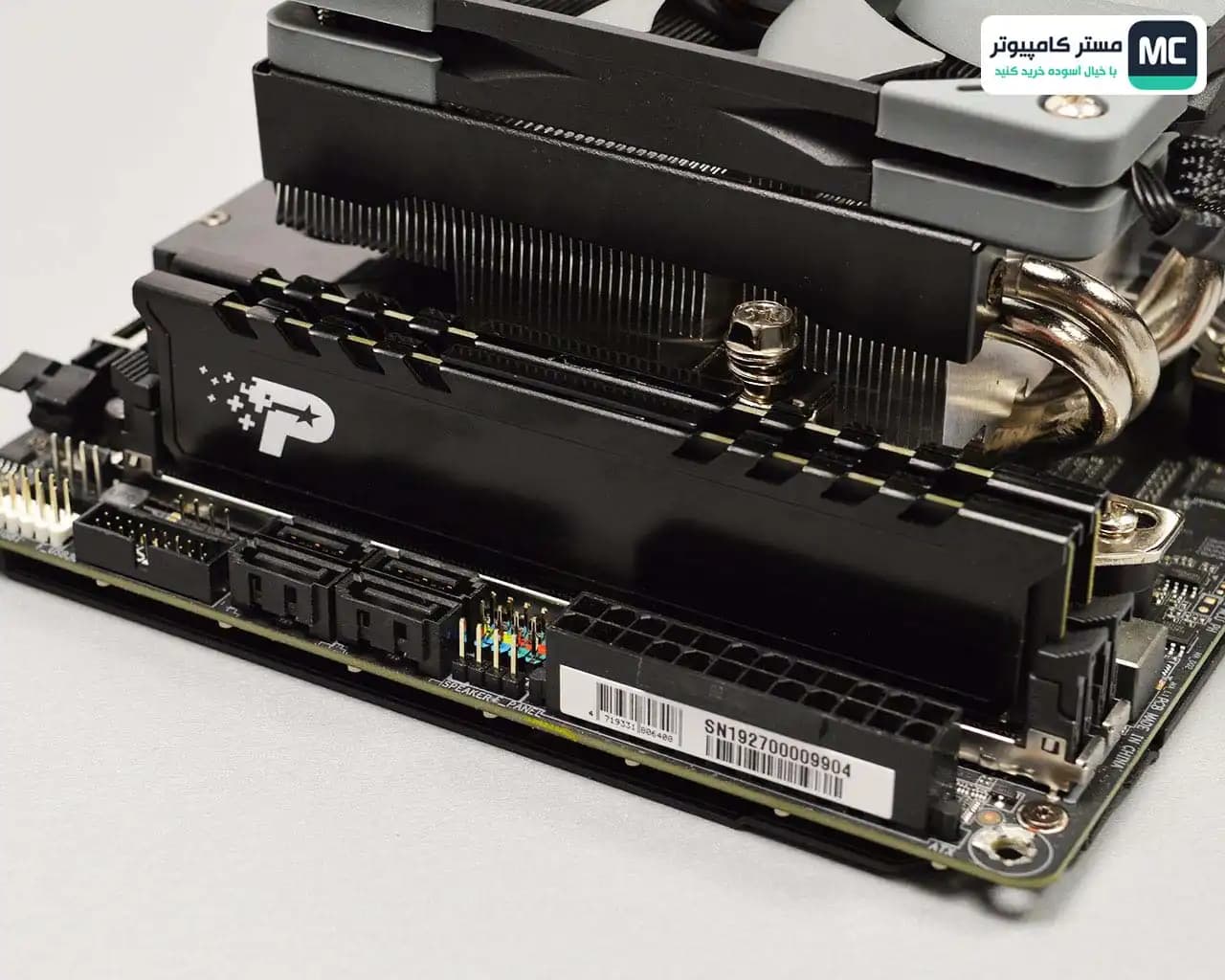 رم پاتریوت Signature Premium DDR4 16GB 2x8GB 3200MHz CL22 — تصویر ۴