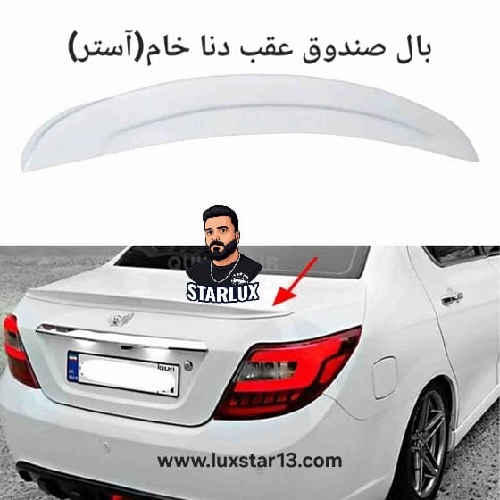 بال صندوق خام دنا — تصویر ۲