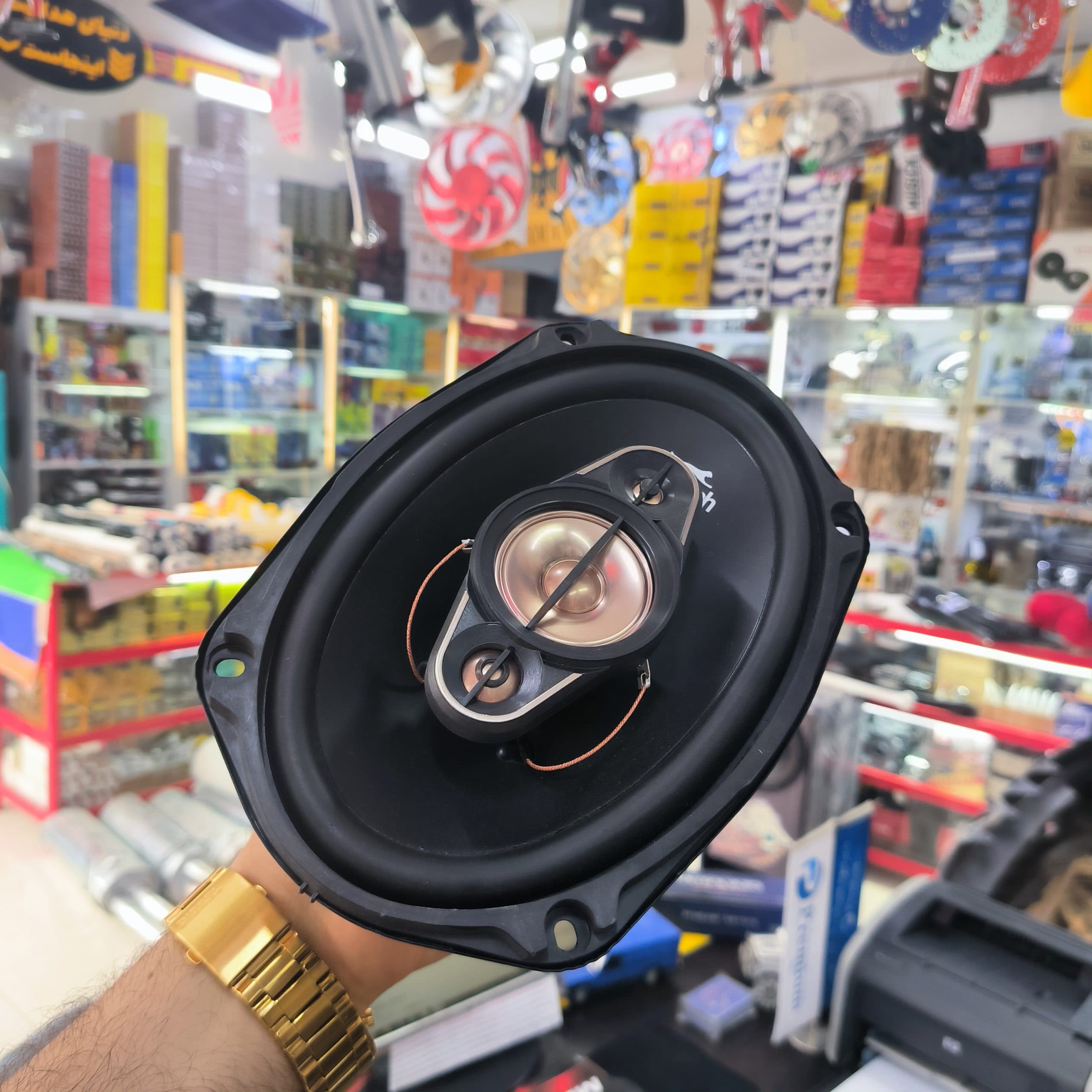 بلندگو بیضی چیتا
