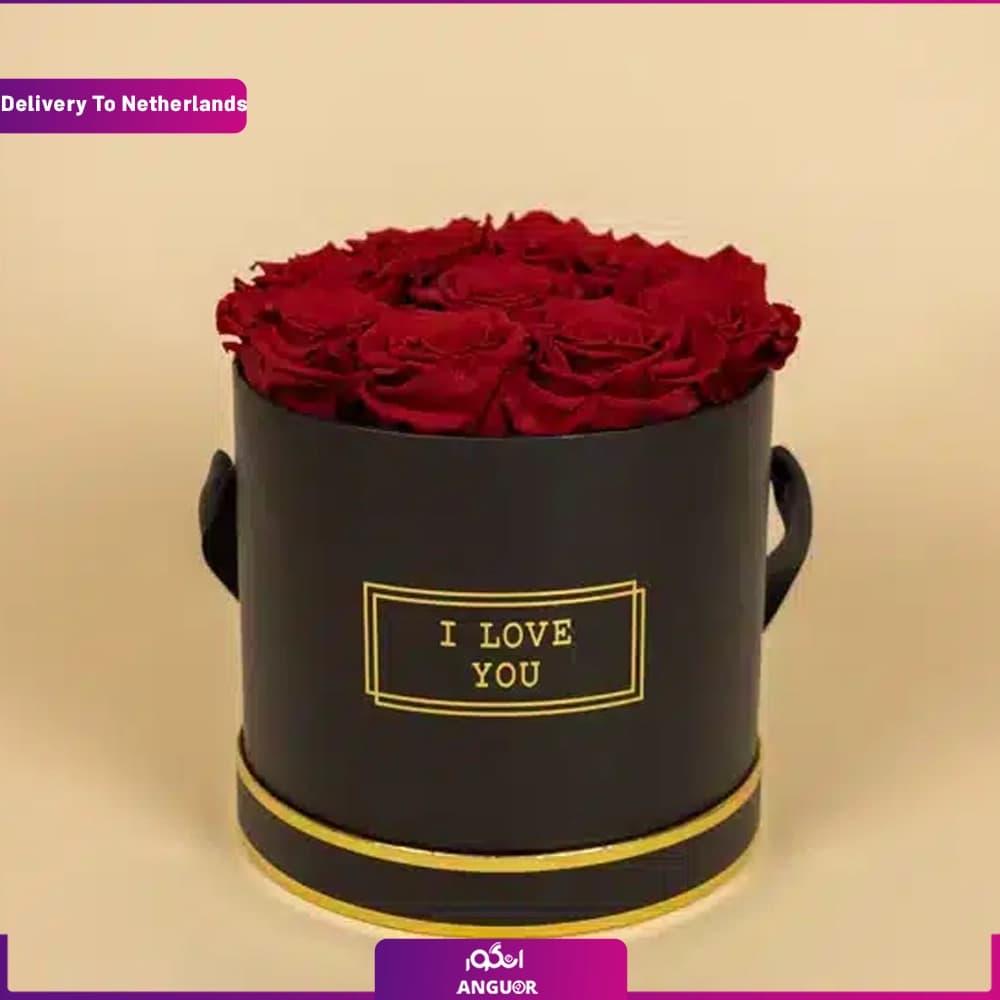 باکس گل رز قرمز 9 شاخه (ارسال گل به هلند)