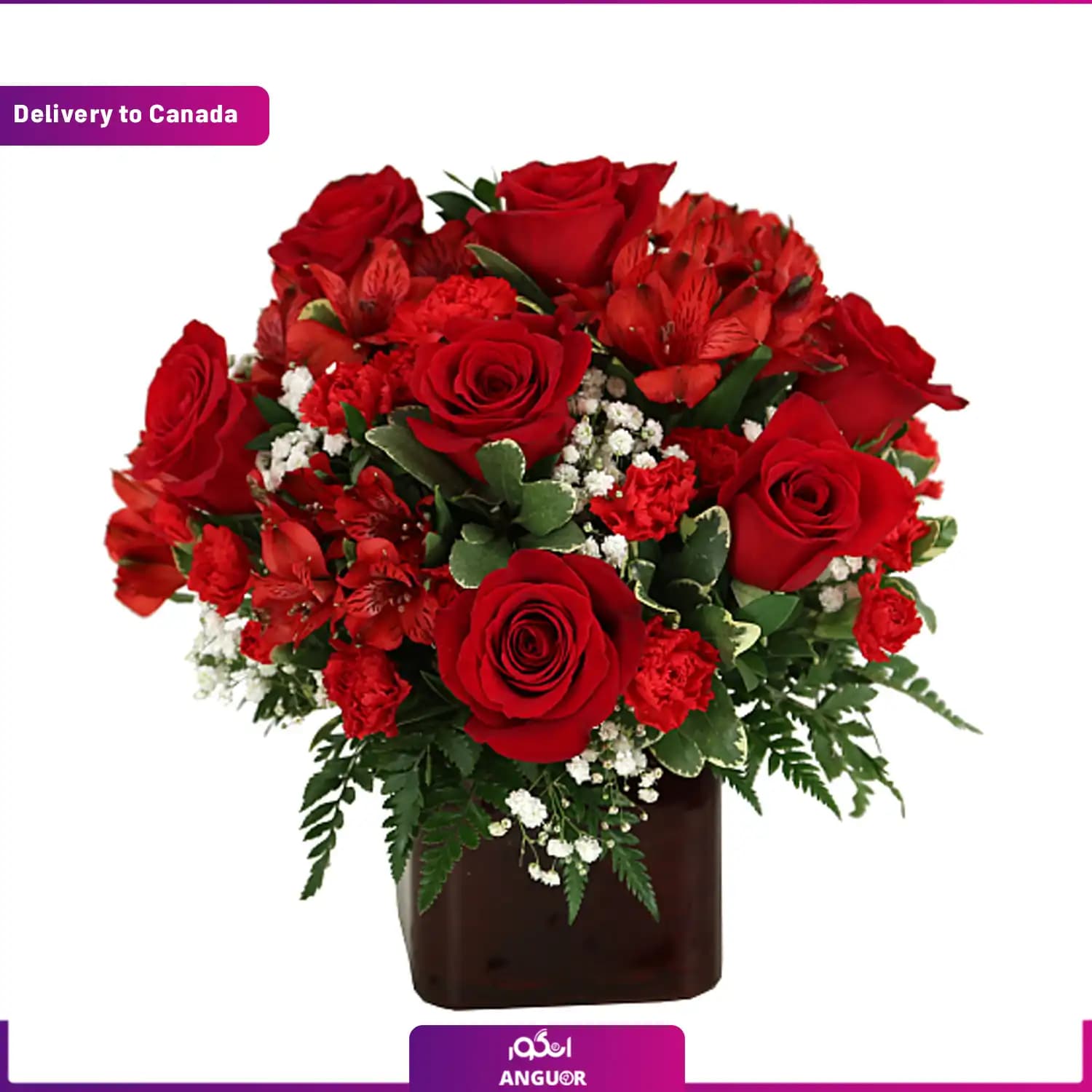 باکس گل تم قرمز (ارسال کیک به کانادا)