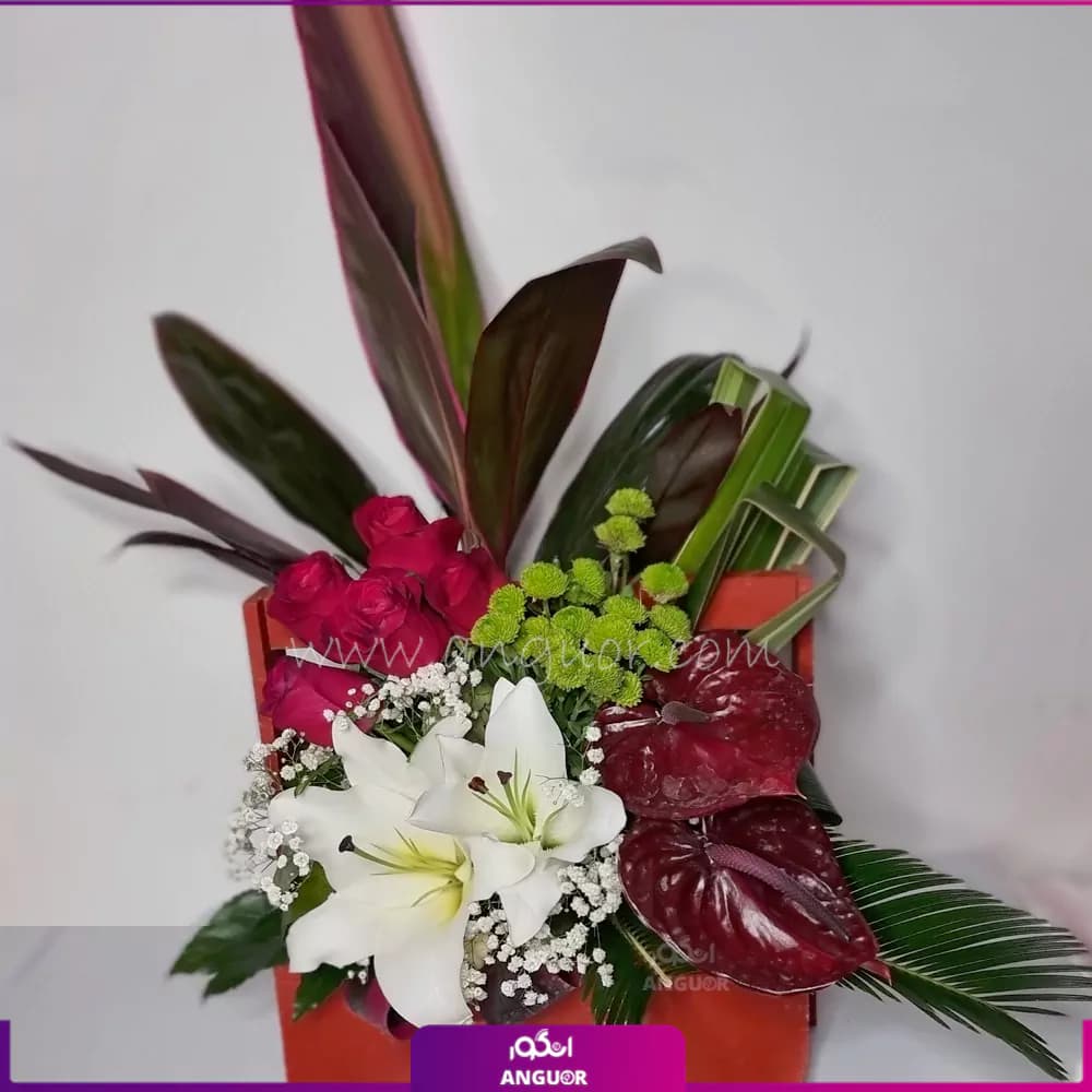باکس گل همتا