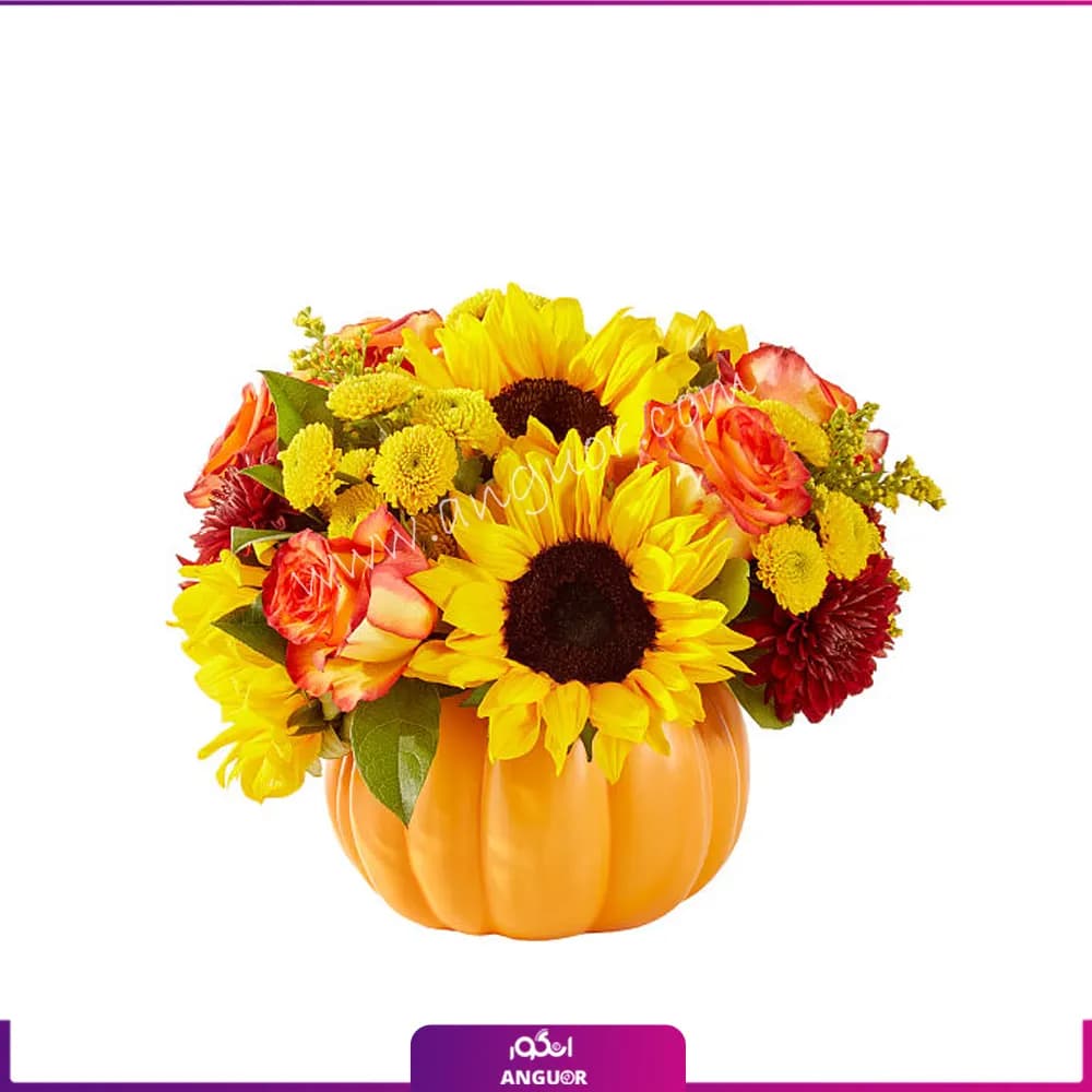 باکس گل جادوی هالووین