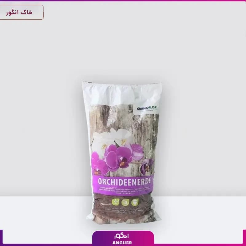خاک گل ارکیده — تصویر ۲