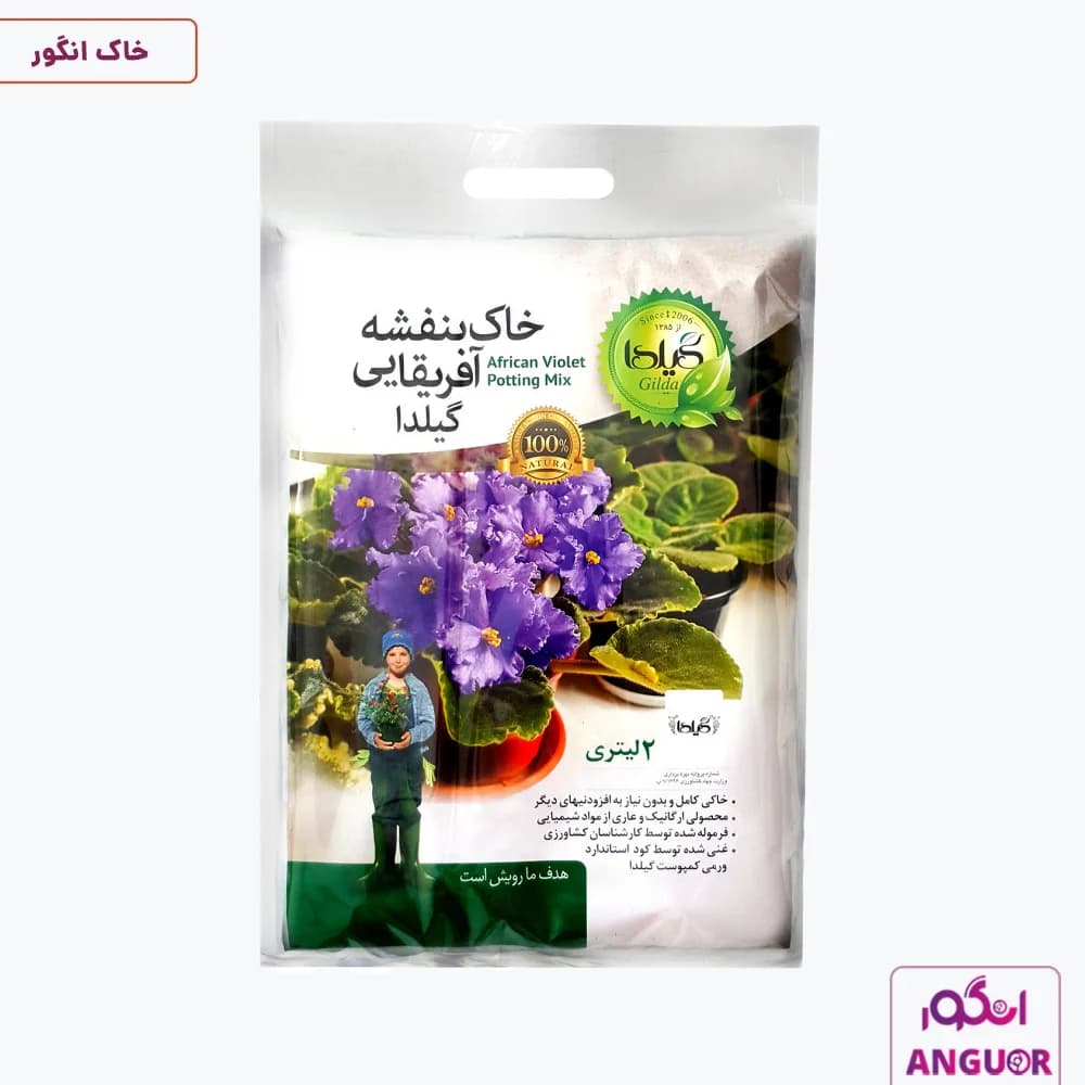 خاک بنفشه آفریقایی گیلدا 2 لیتری | Gilda