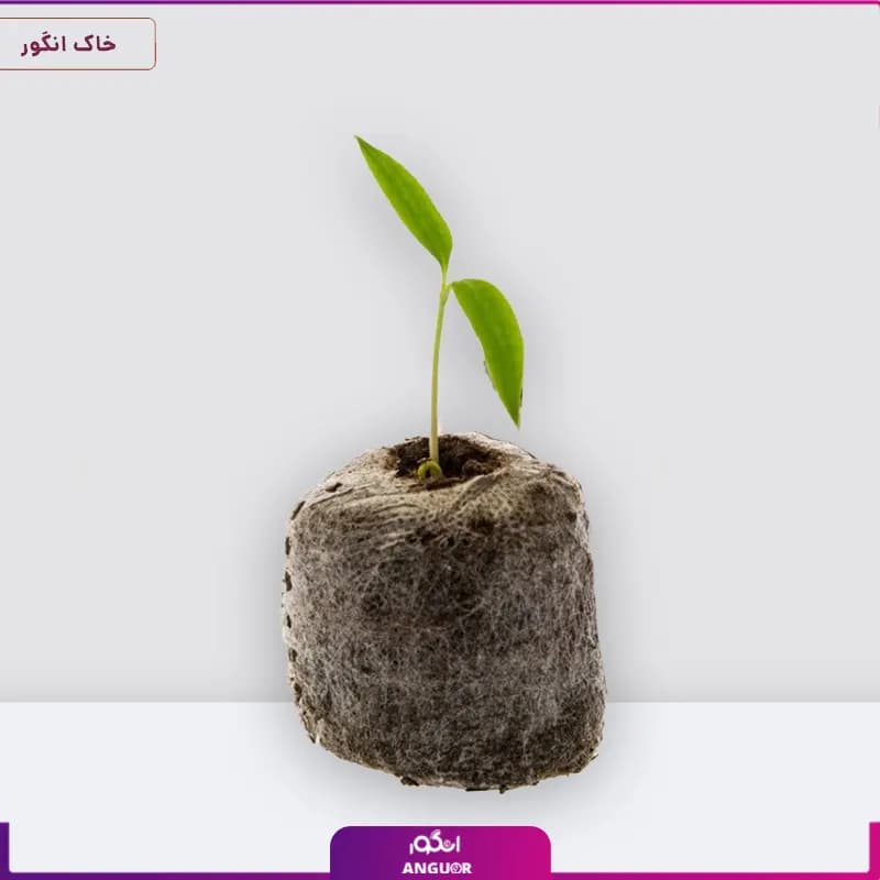 قرص جی فی پلت