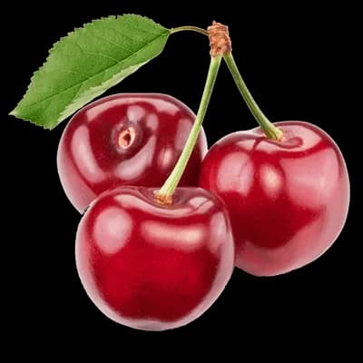 نهال گیلاس استار — تصویر ۲