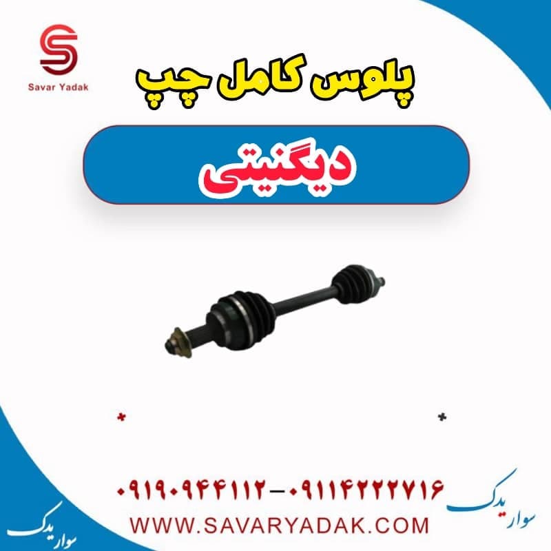 پلوس کامل چپ دیگنیتی — تصویر ۲