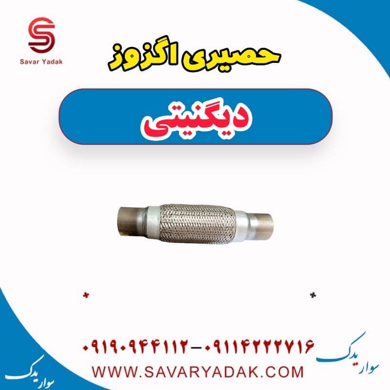حصیری اگزوز دیگنیتی