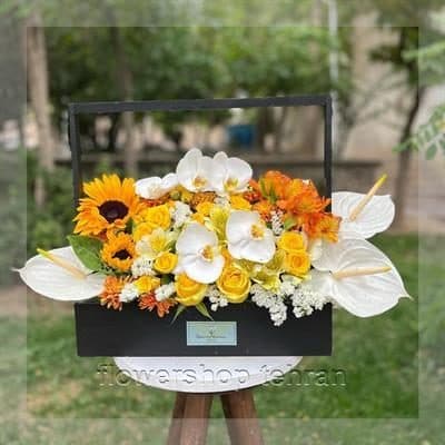 با گل ژیپسوفیلا قیمت فضای سرد و خسته‌کننده را زنده کن