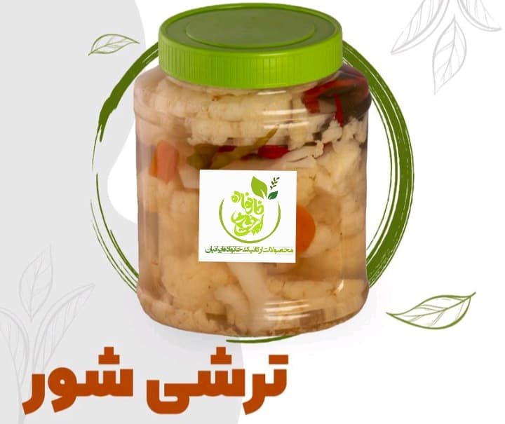 ترشی شور (۸۵۰ گرم)