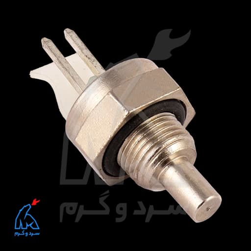 سنسور NTC رزوه پینی فرولی