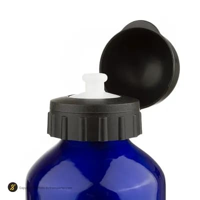 قمقمه ورزشی 750سی سی آلومینیومی پرو اسپرتز PS-007 | آبی — تصویر ۵