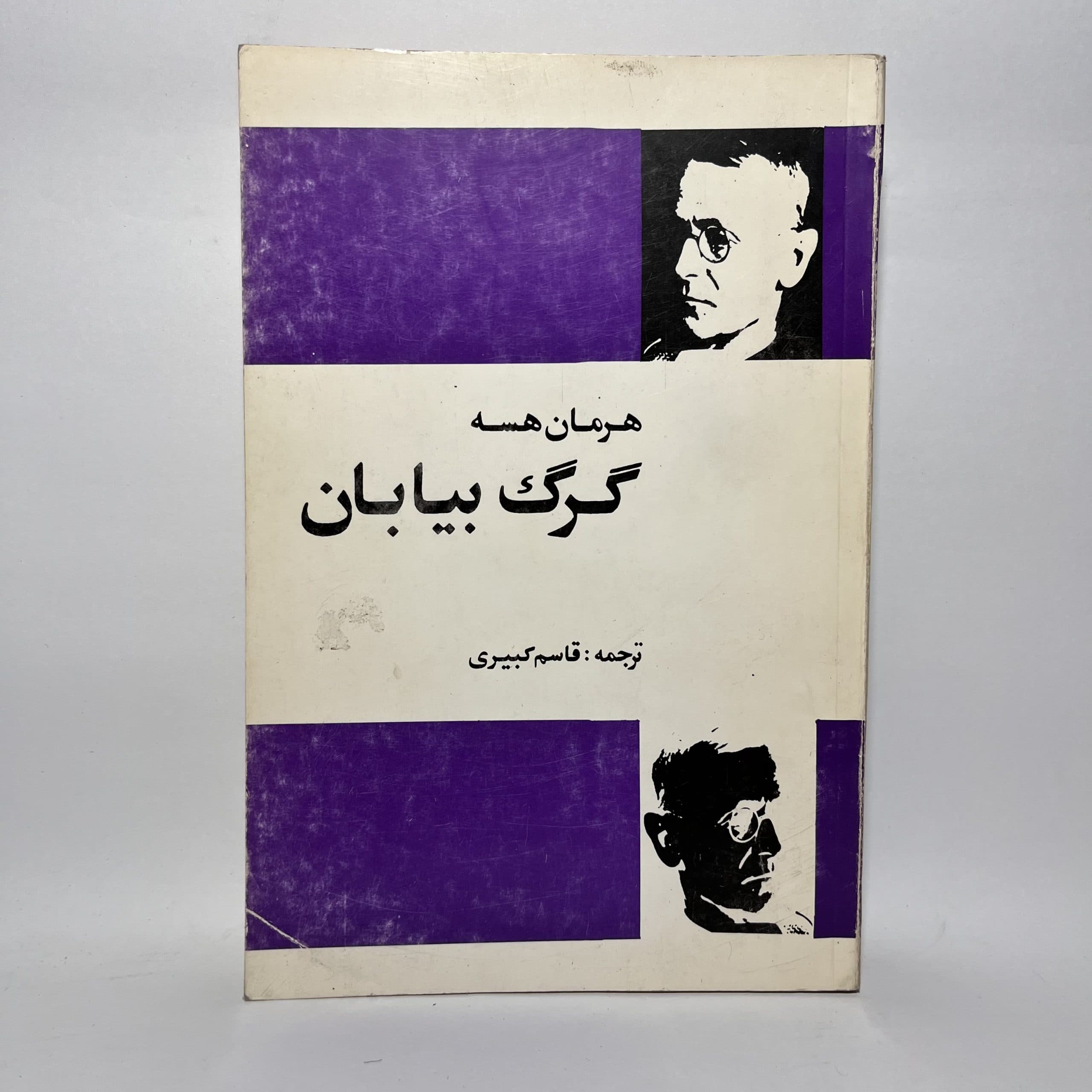 گرگ بیابان اثر هرمان هسه