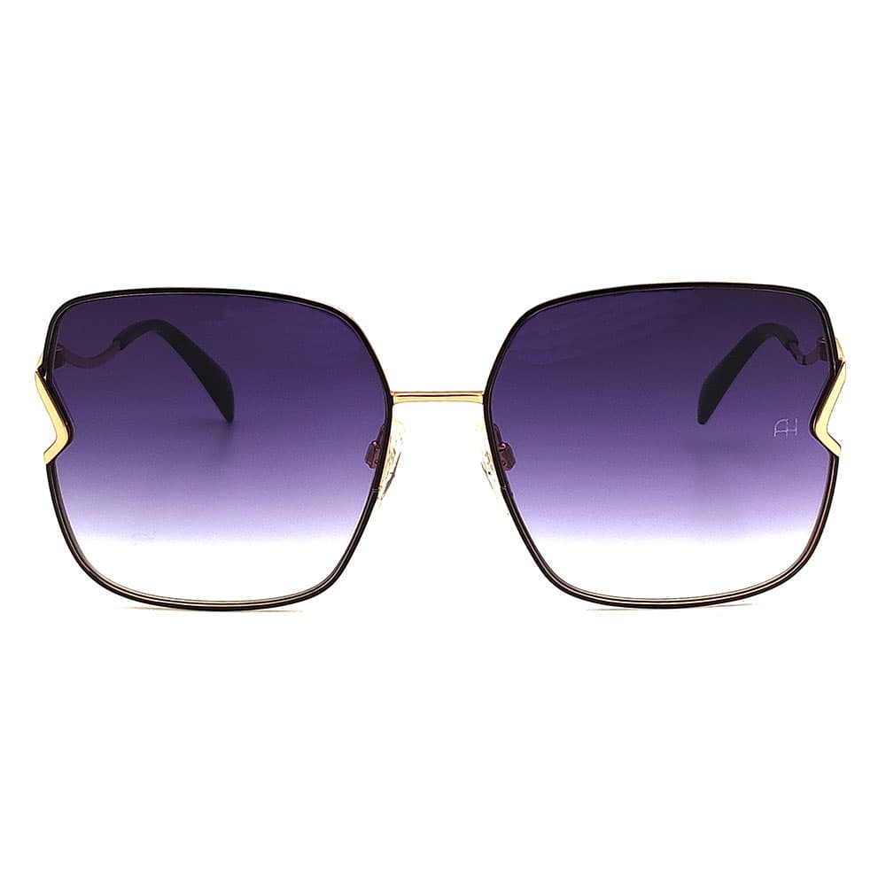 عینک آفتابی زنانه Ana Hickmann AH3259