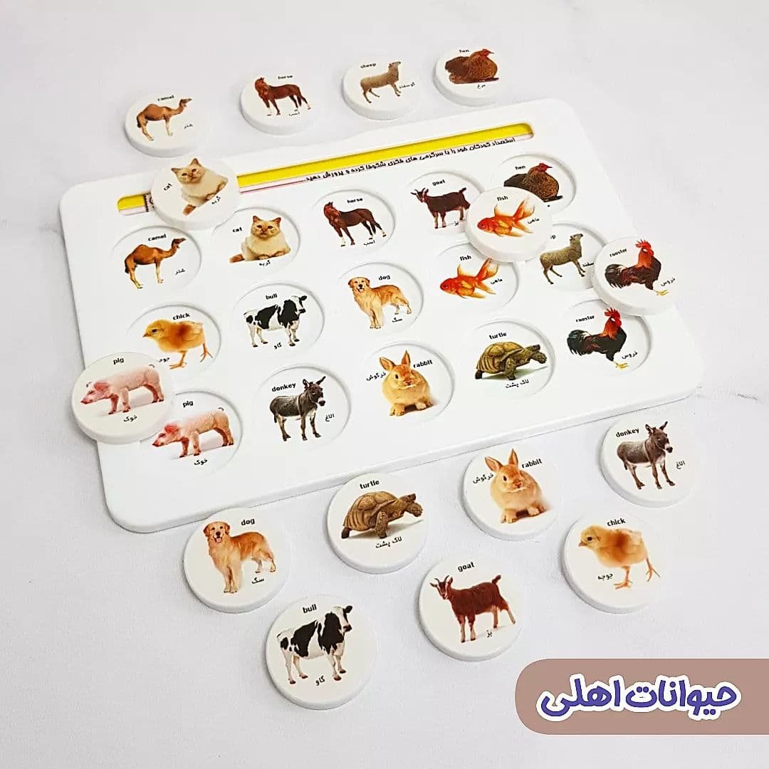 هوشچین یک تکه با طرح واقعی — تصویر ۷
