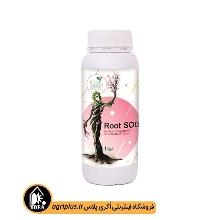 کود روت اس اُ دی