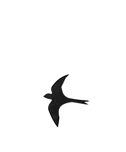 ستاره پرتاب مدل Swallow