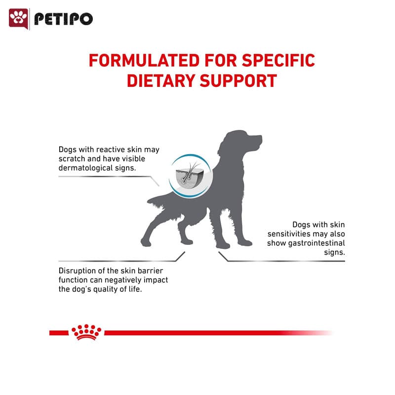 غذای خشک سگ مبتلا به بیماری پوستی رویال کنین (Royal Canin Skin Support) وزن 2 کیلوگرم — تصویر ۳