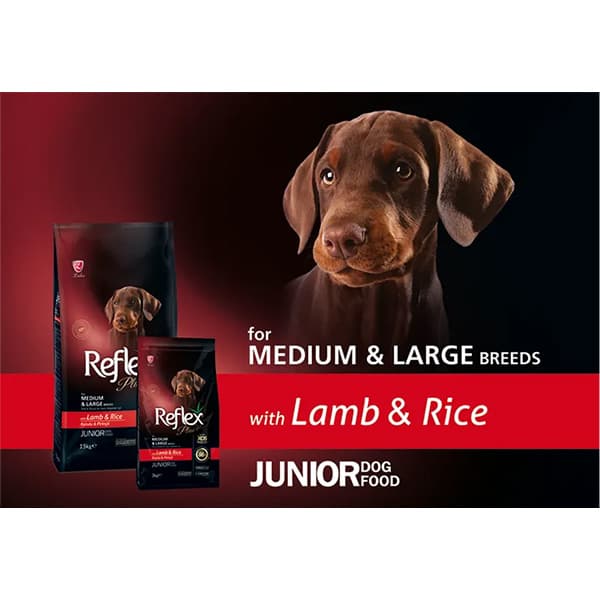 غذای خشک سگ جونیور رفلکس پلاس طعم گوشت بره (Reflex Plus Junior Lamb And Rice ) وزن 3 کیلوگرم — تصویر ۵