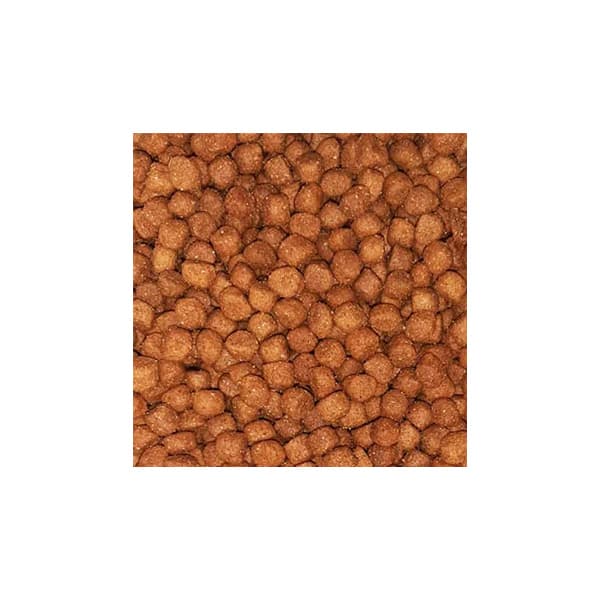 غذای خشک سگ جونیور رفلکس پلاس طعم گوشت بره (Reflex Plus Junior Lamb And Rice ) وزن 3 کیلوگرم — تصویر ۳